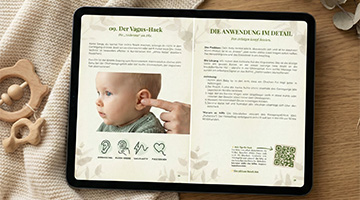 Guide Innenansicht
