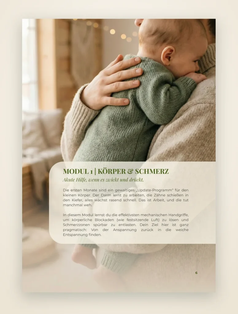 Baby-Sos-Guide-Modul-1