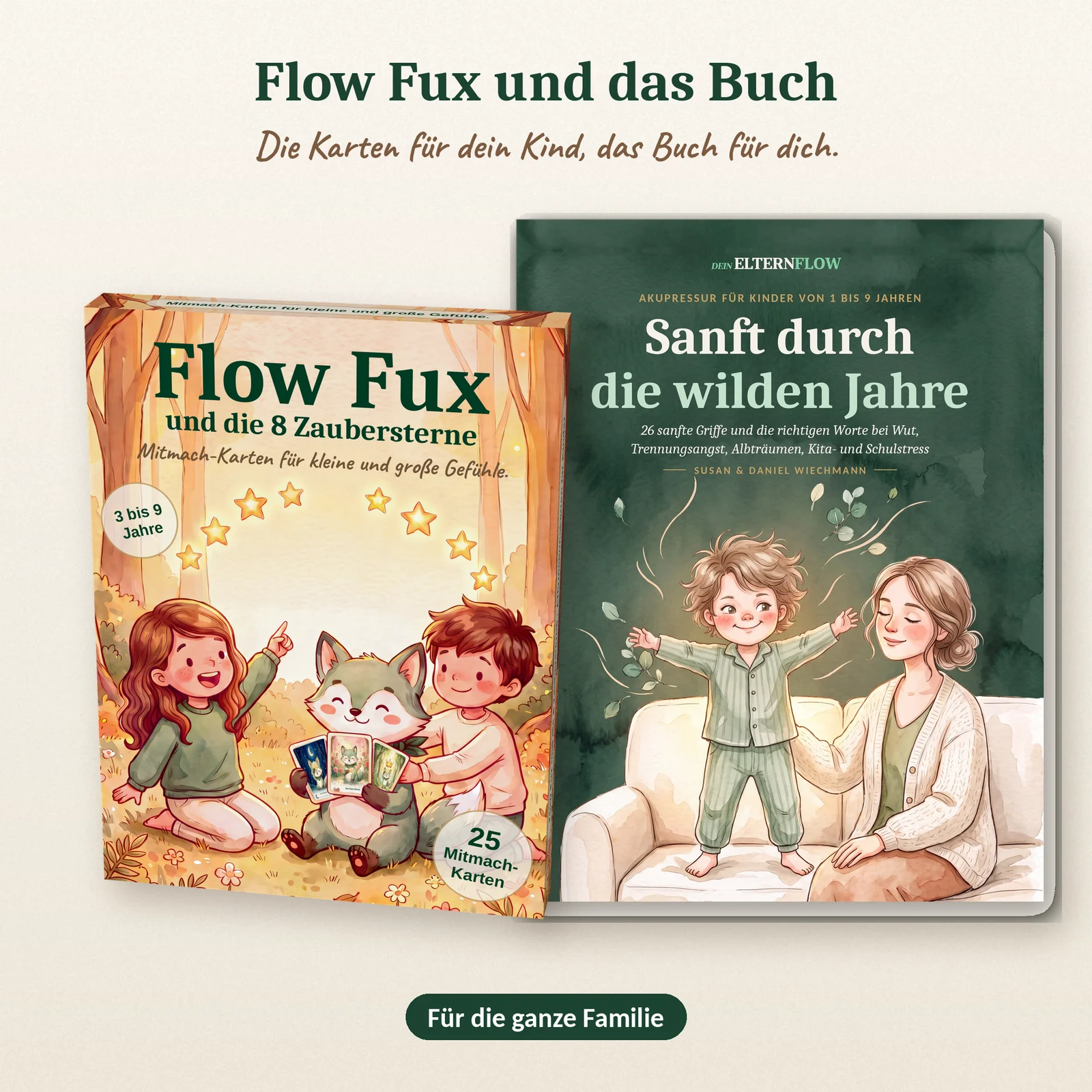 Ff shop v9 bundle 01 schachtel und buch