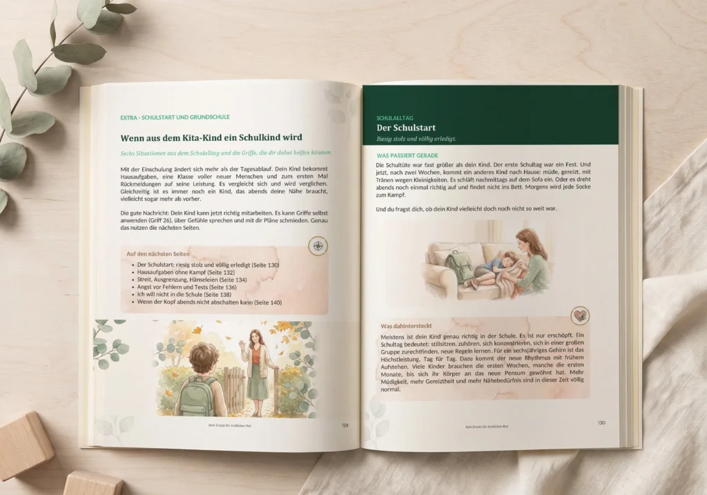wj-seiten-schule.webp
