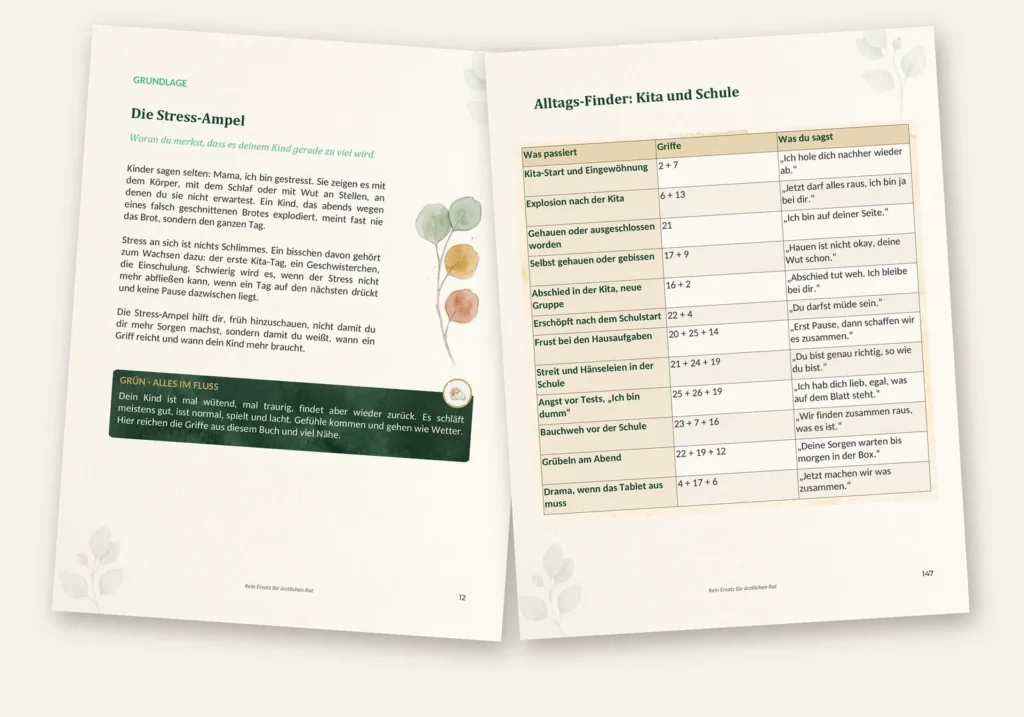 Die Stress-Ampel aus dem Buch
